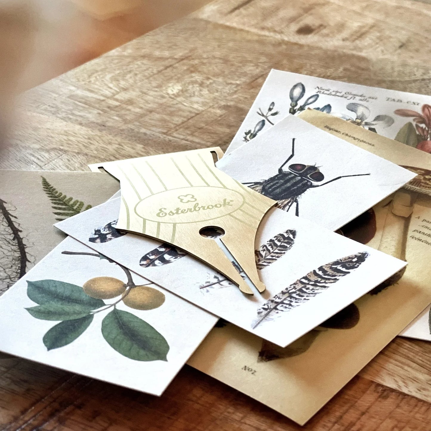 Esterbrook Nib Shape Bookmark