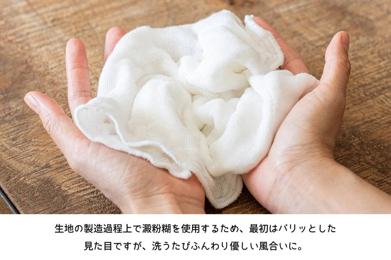 Dishcloth Kaya-cloth Set of 5 - Made in Japan