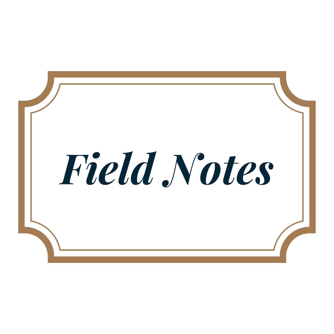 Field Notes – Everything Calligraphy