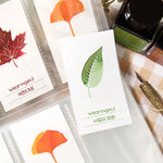 Wearingeul Leaf 3 Types Swatch Cards (50 sheets)