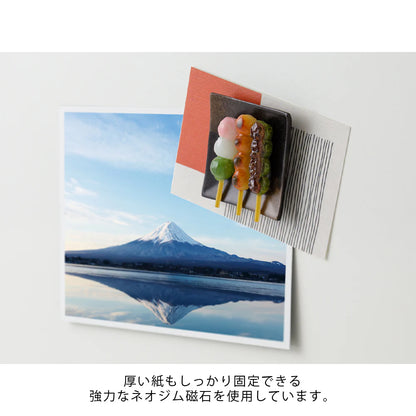 Midori Miniature Magnets