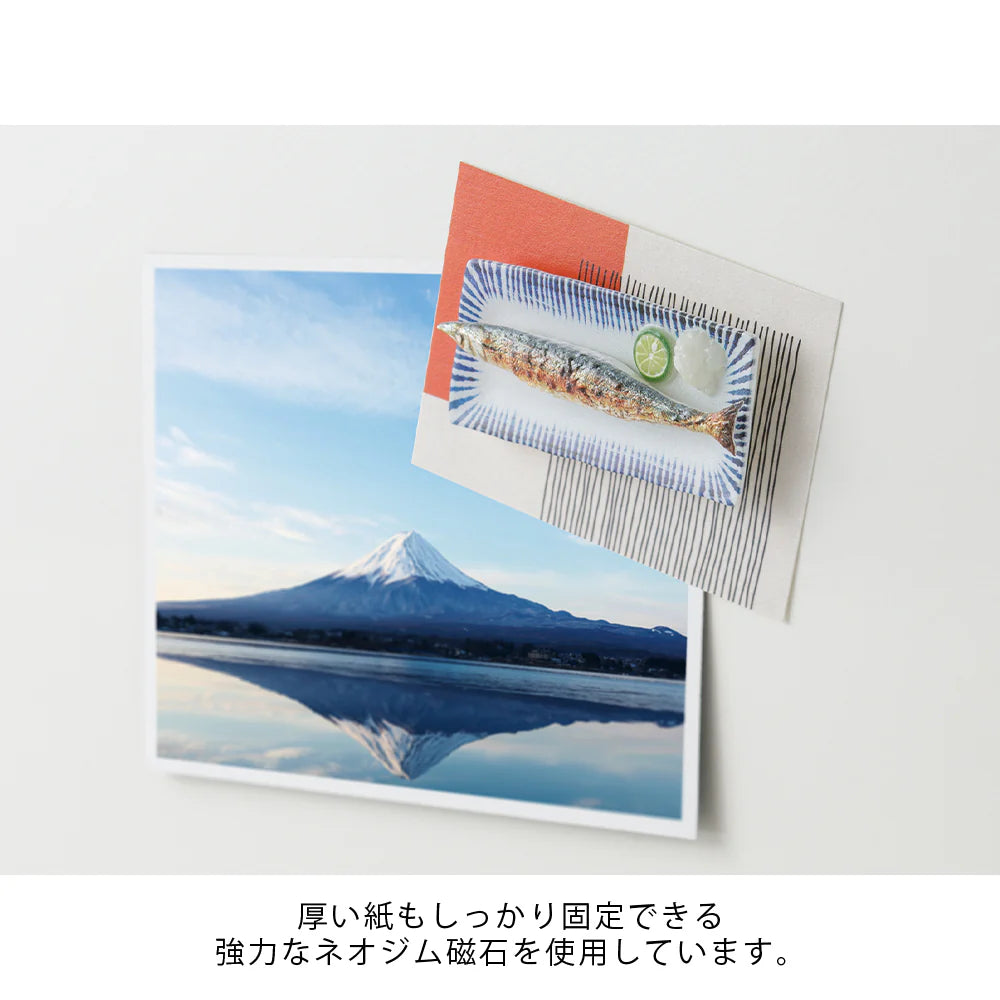 Midori Miniature Magnets