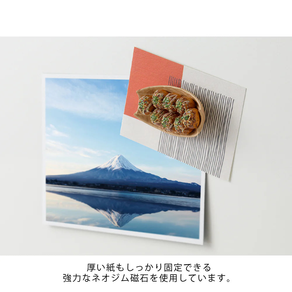 Midori Miniature Magnets