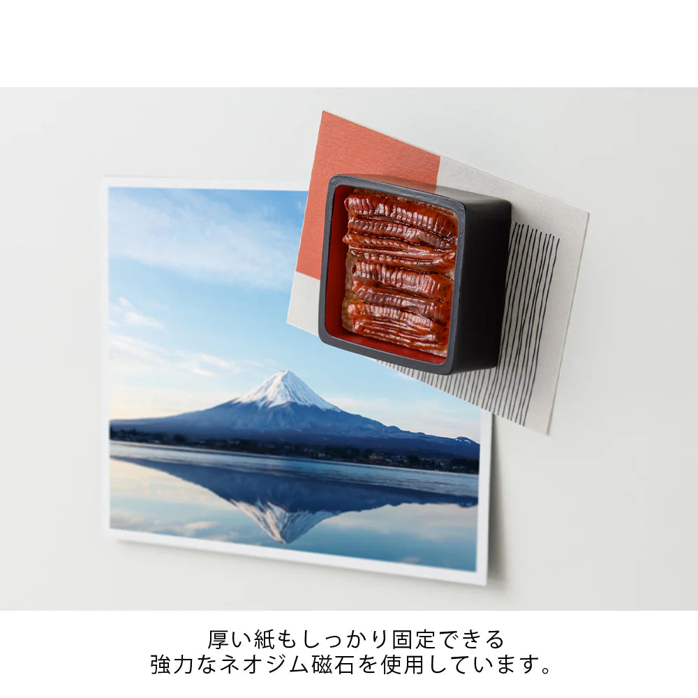 Midori Miniature Magnets