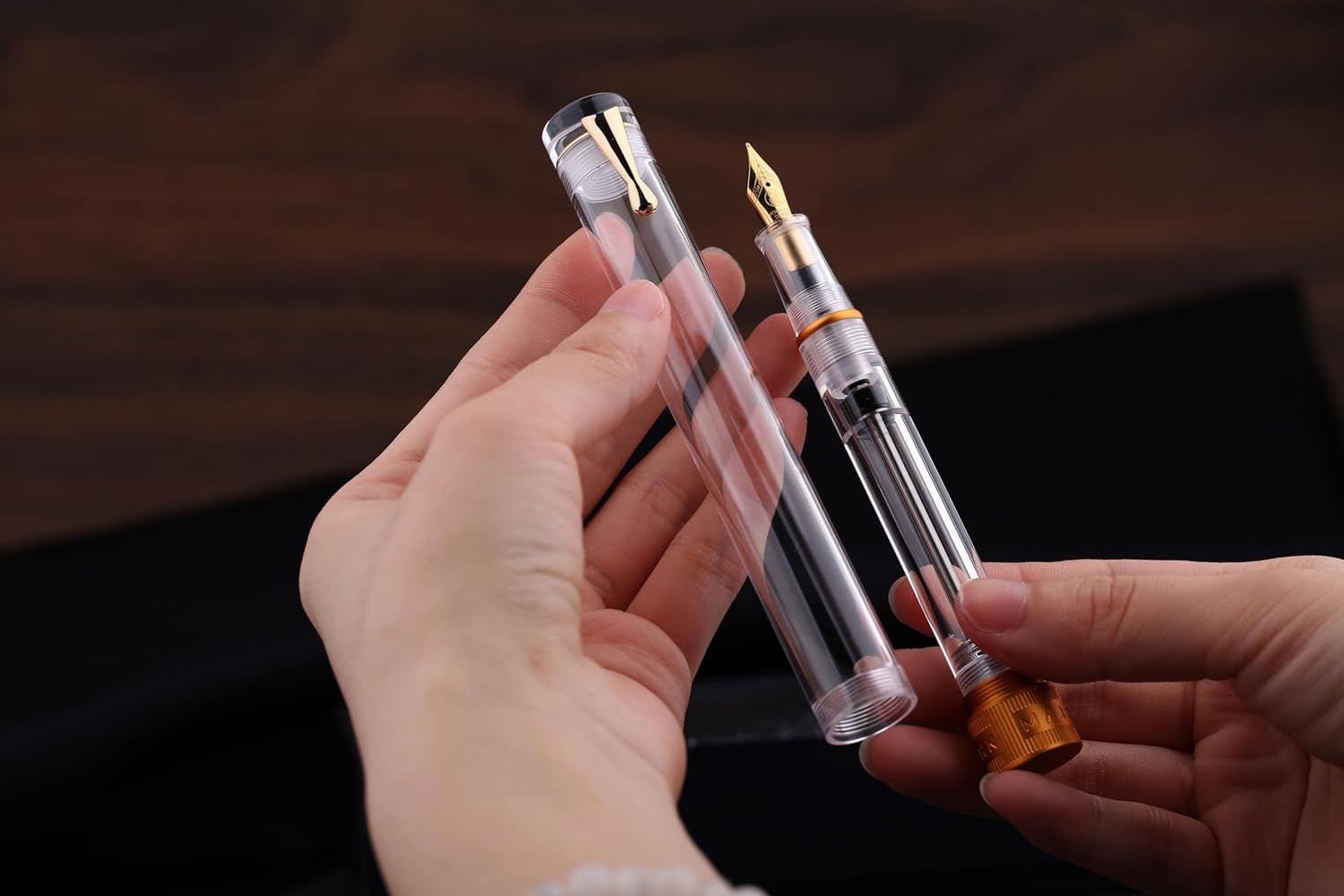 Majohn V1 Vacuum Fountain Pen