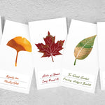 Wearingeul Leaf 3 Types Swatch Cards (50 sheets)