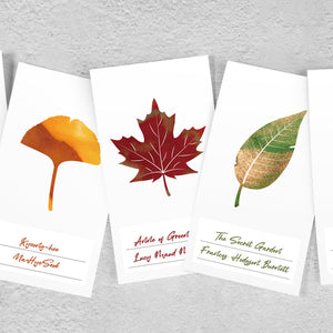 Wearingeul Leaf 3 Types Swatch Cards (50 sheets)