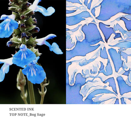 Dominant Industry Fountain Pen Scented Inks (Twilight Garden Series) 25ml