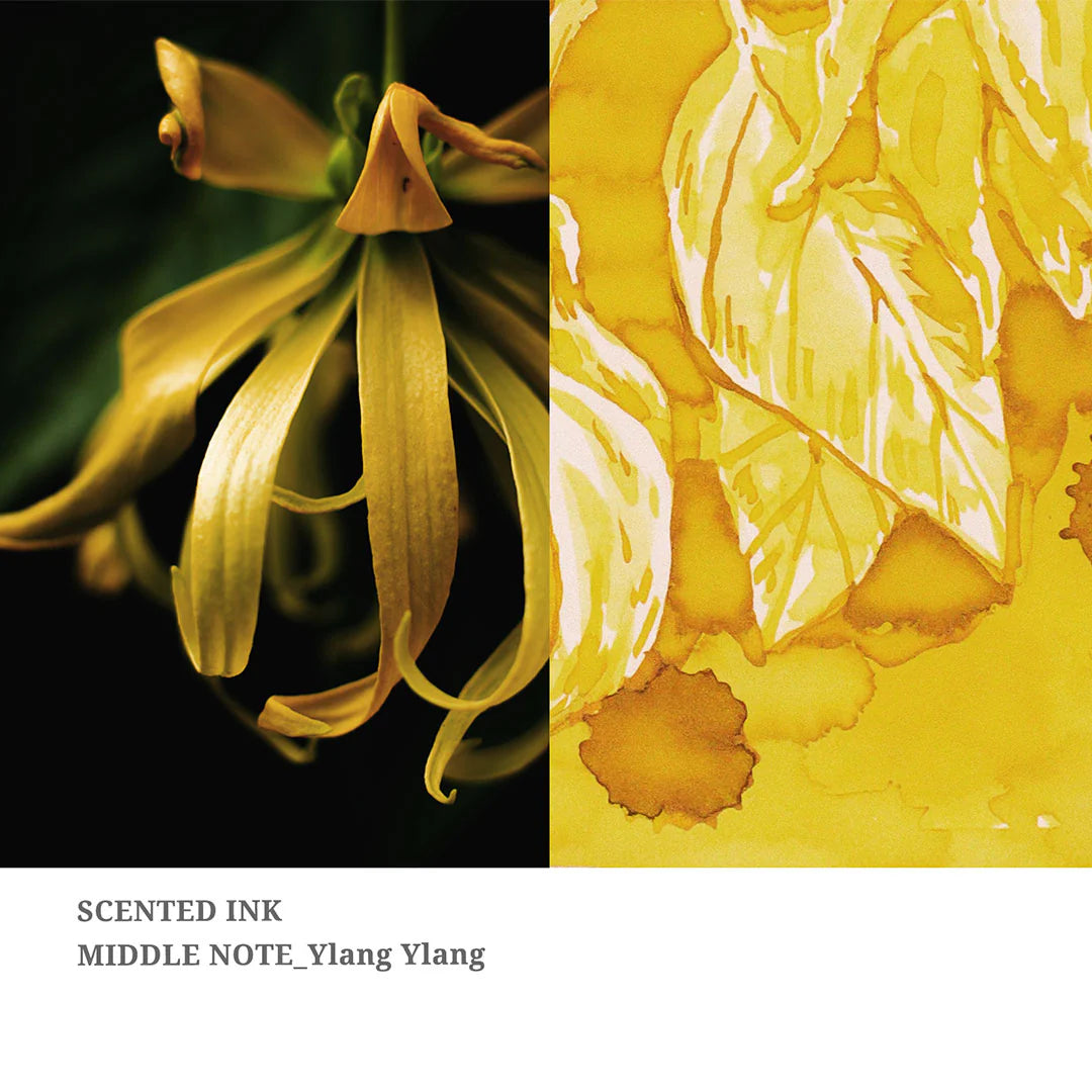 Dominant Industry Fountain Pen Scented Inks (Twilight Garden Series) 25ml