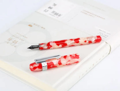 Delike Acrylic Alpha Fountain Pen