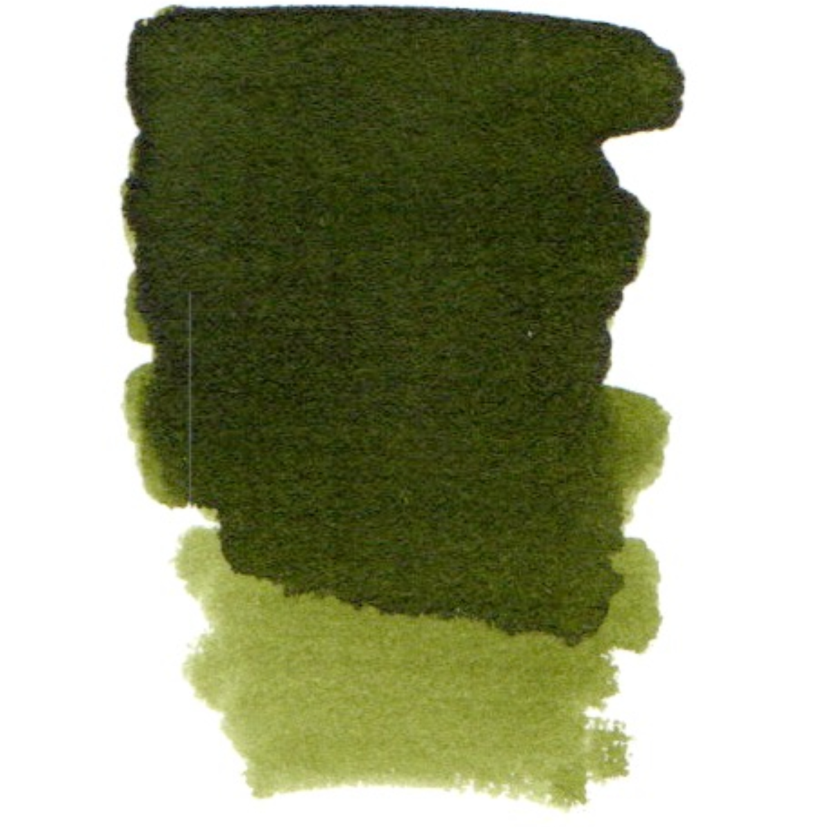 Diamine Exclusive Fountain Pen Ink [Philippine-Market Only]