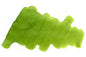 Diamine Forever Fountain Pen Ink 50ml