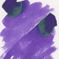 Diamine Inks (30 ml)
