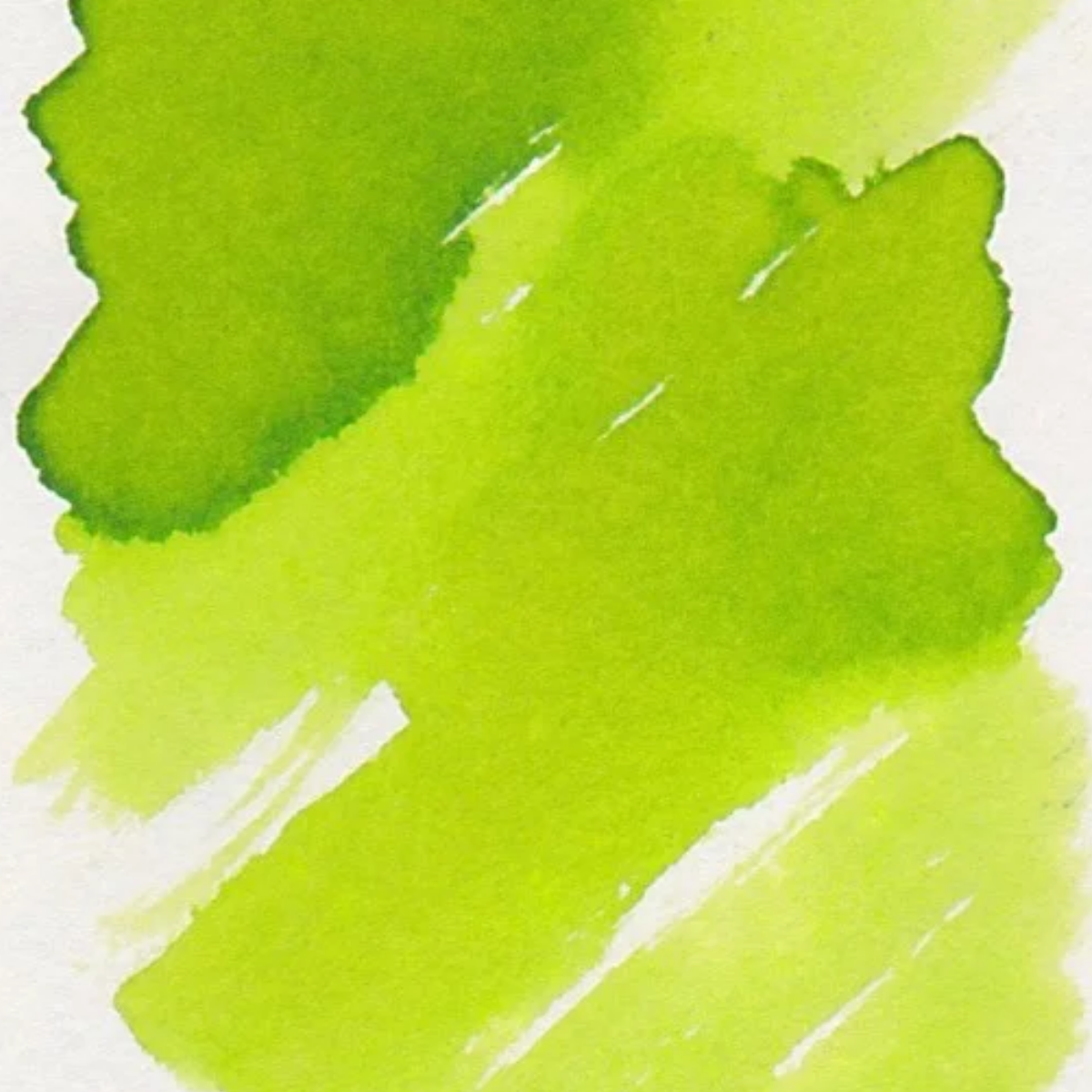 Diamine Inks (30 ml)