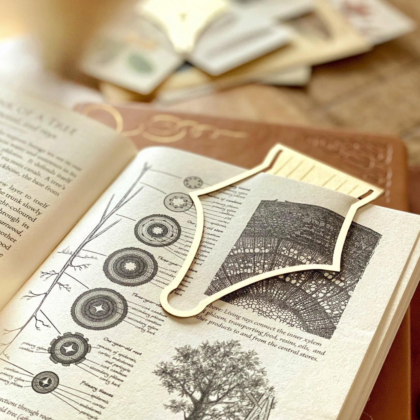 Esterbrook Nib Shape Bookmark