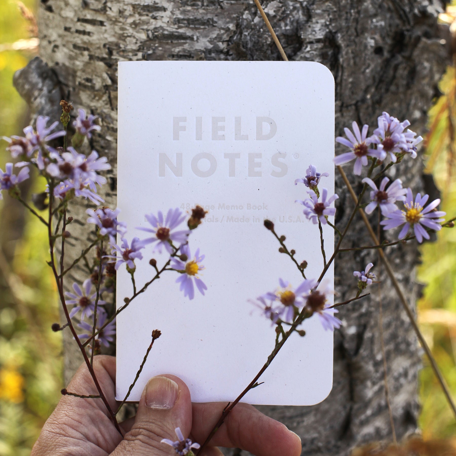 Field Notes Birch Bark Notebooks (3-Pack)