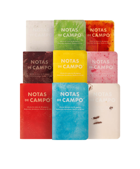 Field Notes Paletas Notebooks [Set of 3]