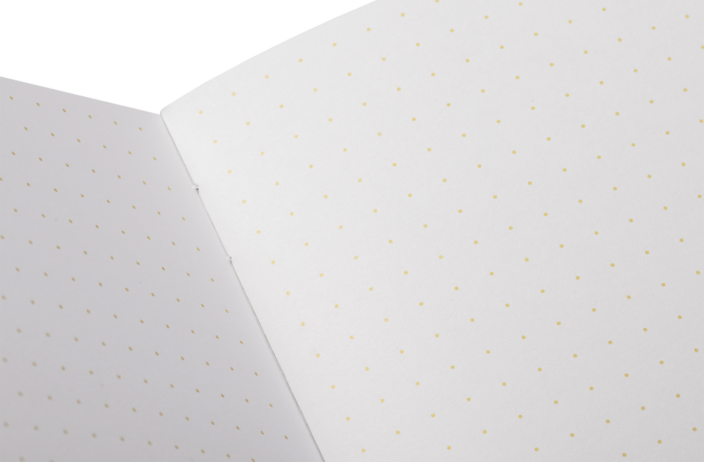 Field Notes Paletas Notebooks [Set of 3]