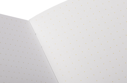 Field Notes Paletas Notebooks [Set of 3]
