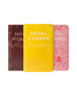Field Notes Paletas Notebooks [Set of 3]