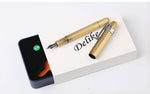 Delike Alpha Fountain Pen with clip and converter