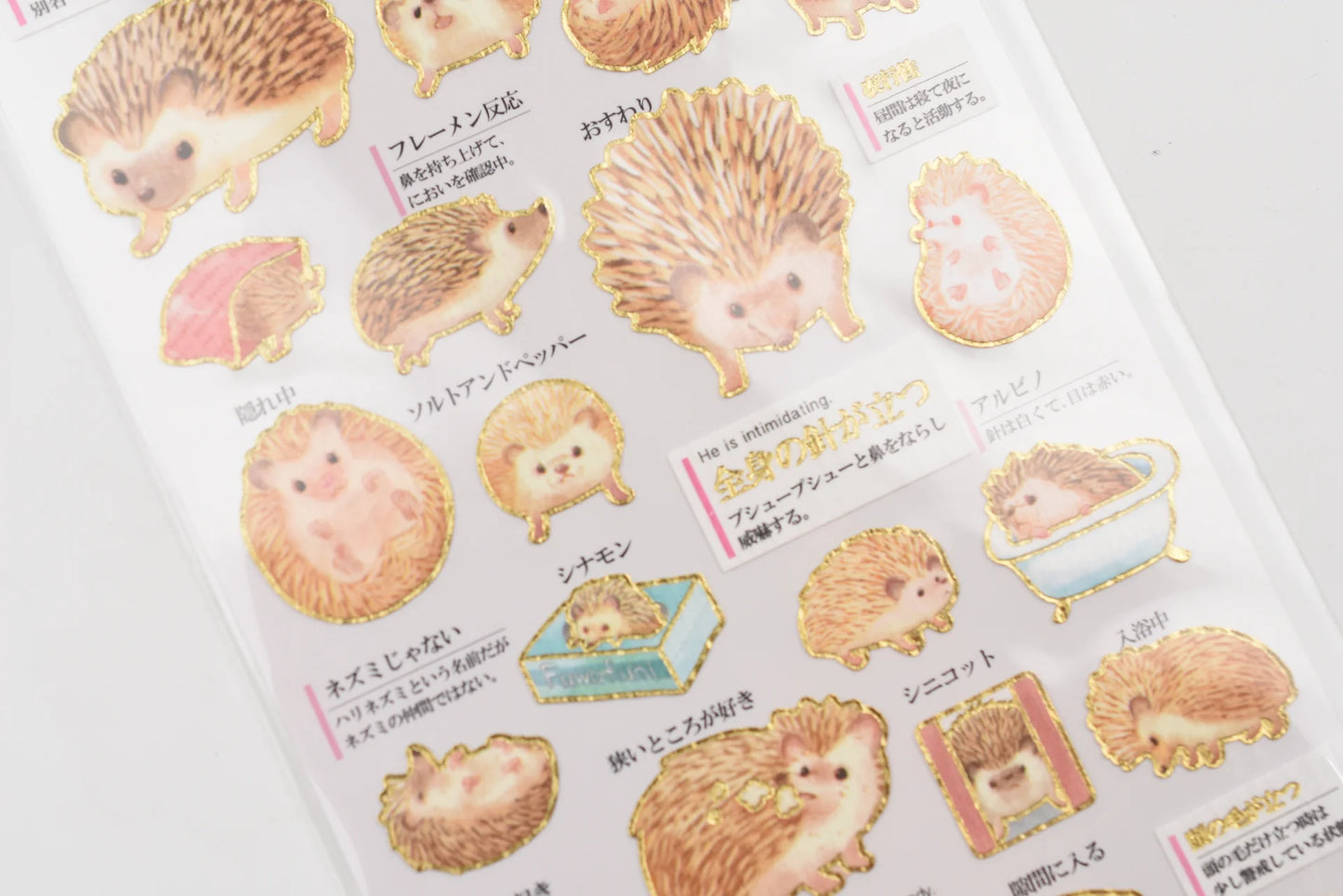 Kamio Japan Inc. Illustrated Book Stickers