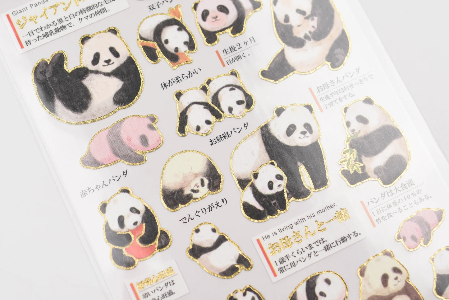 Kamio Japan Inc. Illustrated Book Stickers