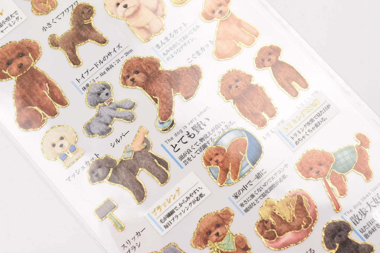 Kamio Japan Inc. Illustrated Book Stickers