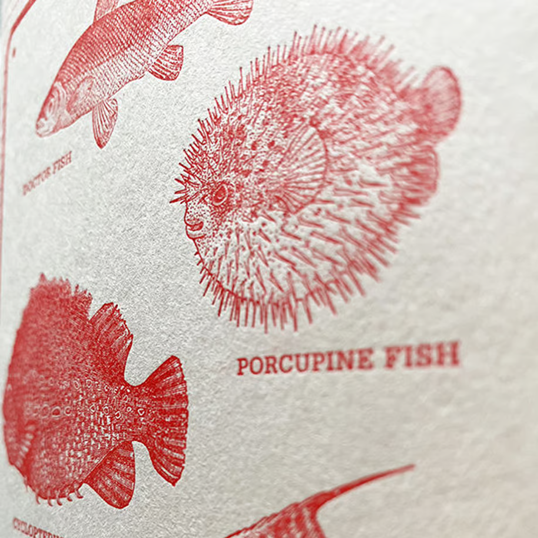 Kunisawa Fish Notebook (Letterpress)