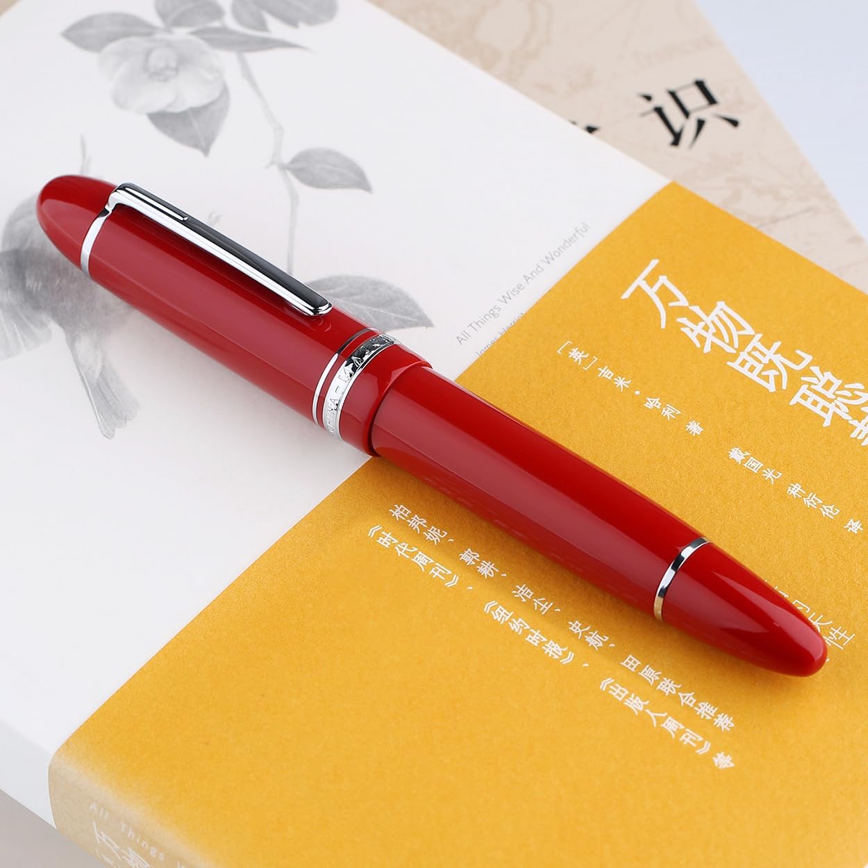 Majohn P141 (Moonman) Silver Clip Fountain Pen