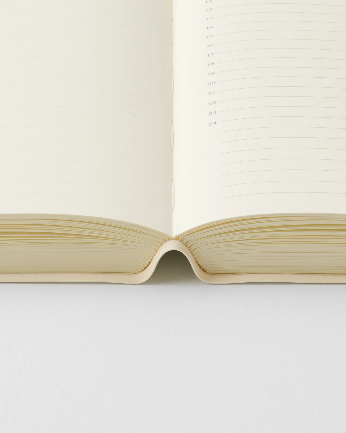Midori MD Notebook Diary 1 Day 1 Page 2027