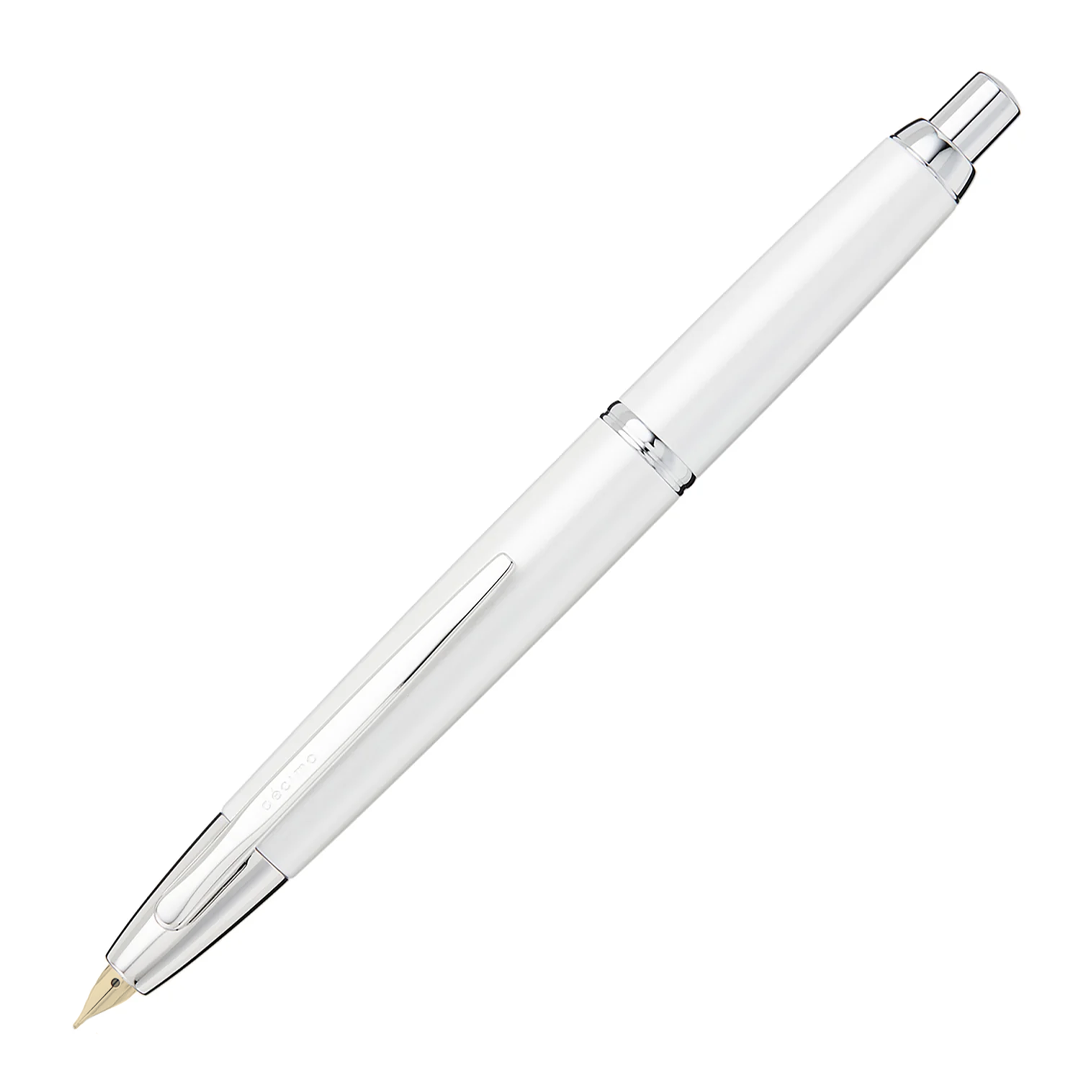 Pilot Vanishing Point