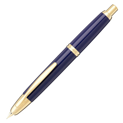 Pilot Vanishing Point