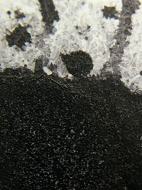 Rohrer & Klingner Fountain Pen Ink [50ml] Limited Edition 2023 Ebony