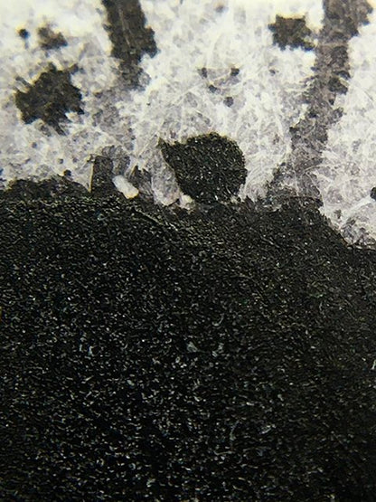 Rohrer & Klingner Fountain Pen Ink [50ml] Limited Edition 2023 Ebony