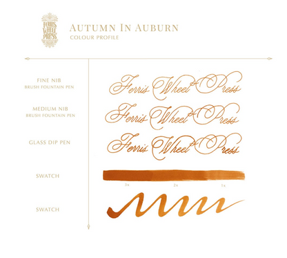 Ferris Wheel Press Charger Set - Autumn In Ontario 5ml Ink Vials