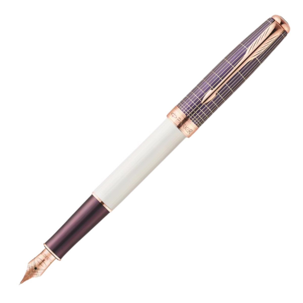 Parker Pen Sonnet Special Edition Custom Fountain Pen
