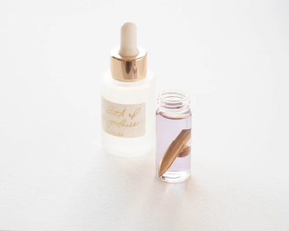 Tom's Studio Nib Cleaning Solution