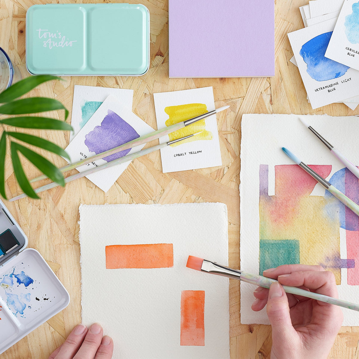 Tom's Studio Write Off Paintbrush Set