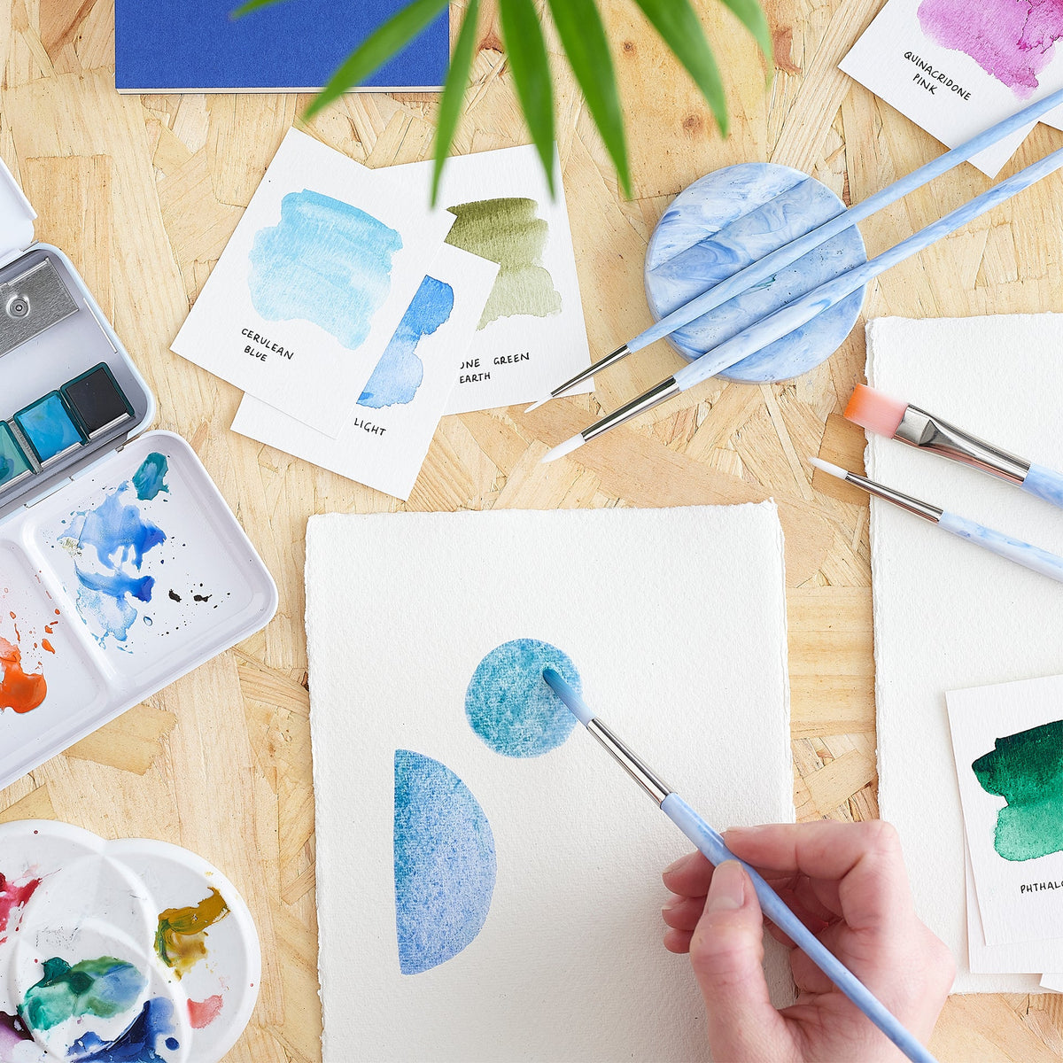 Tom's Studio Write Off Paintbrush Set
