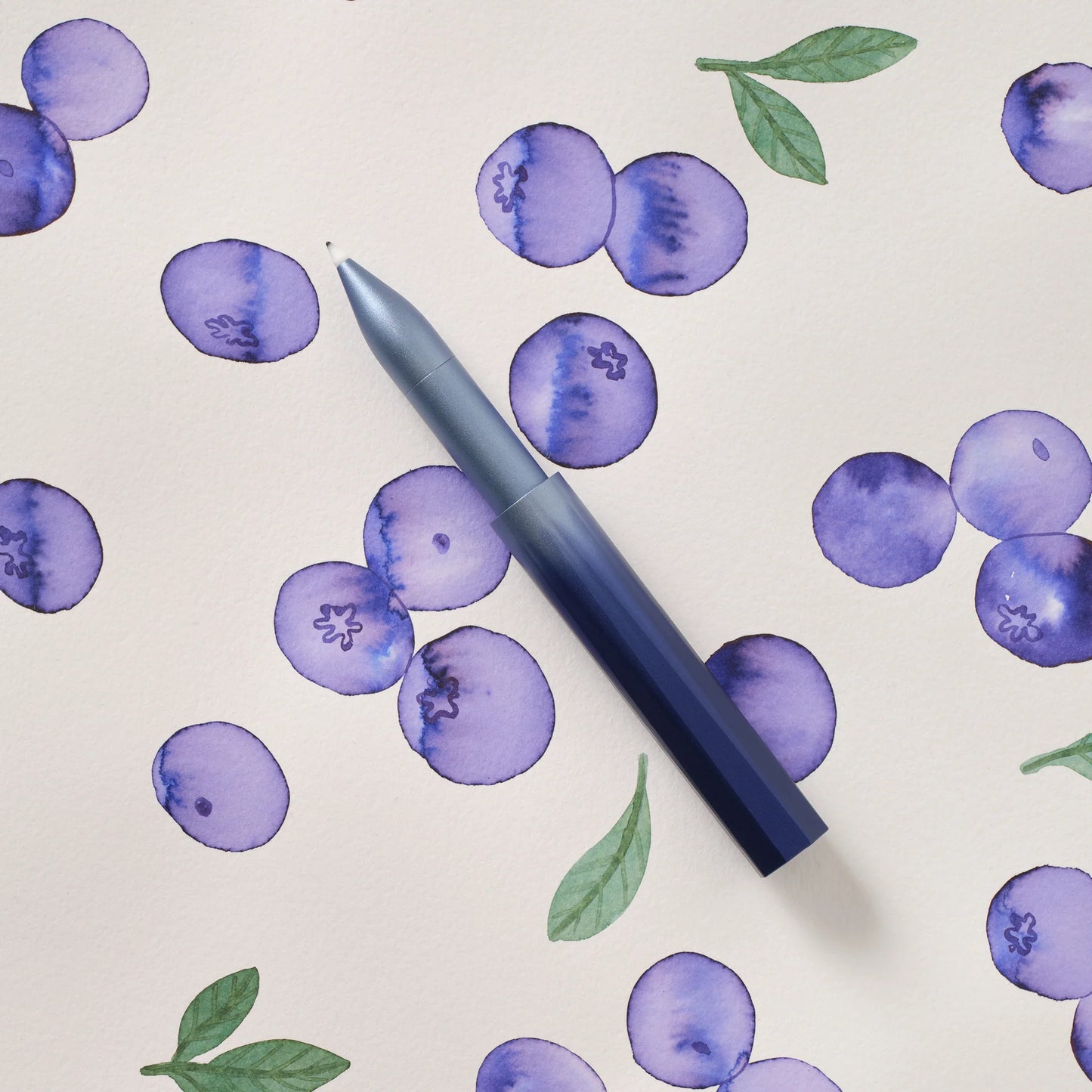 Tom's Studio Blueberry Wren - Special Edition
