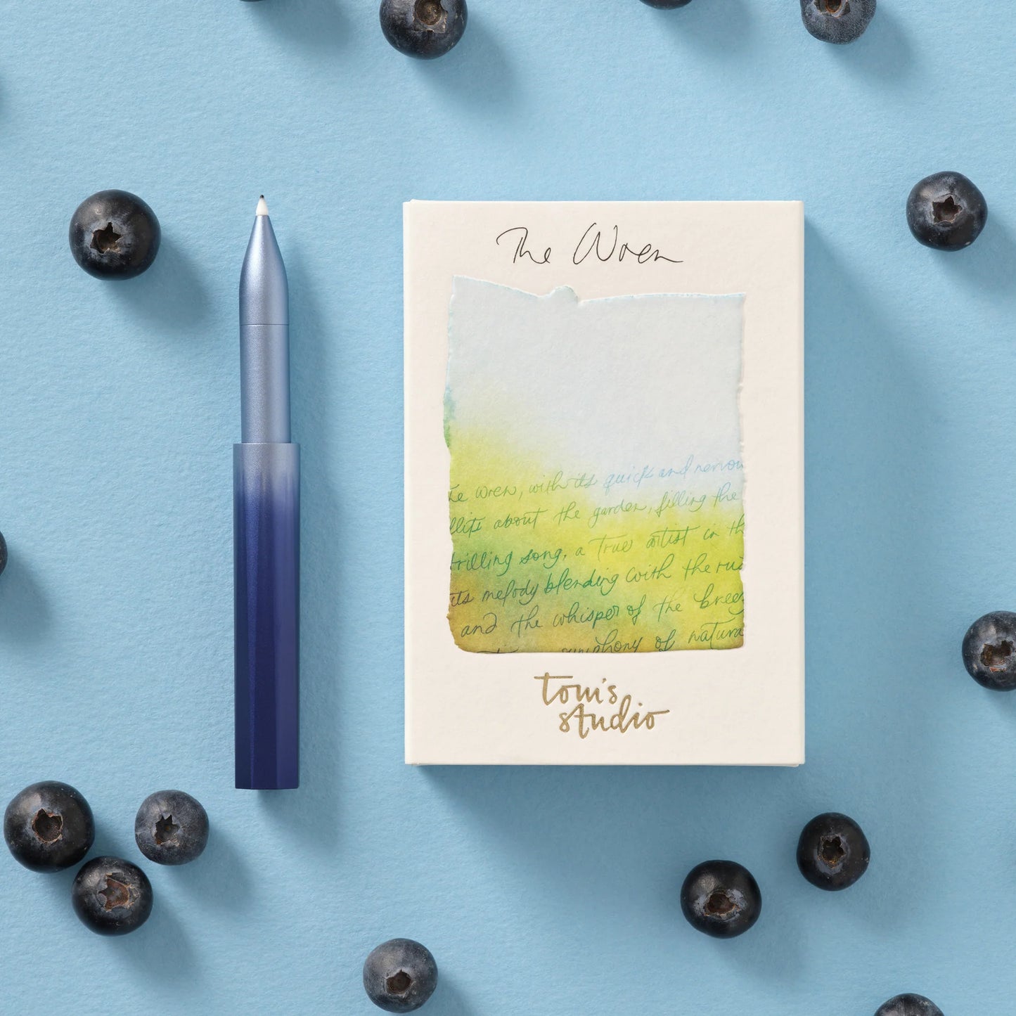 Tom's Studio Blueberry Wren - Special Edition