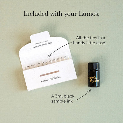 Tom's Studio Lumos Bronze