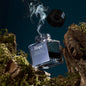 Wearingeul 2026 April Fool's Edition Ink [10ml] Hope - Pandora's Box