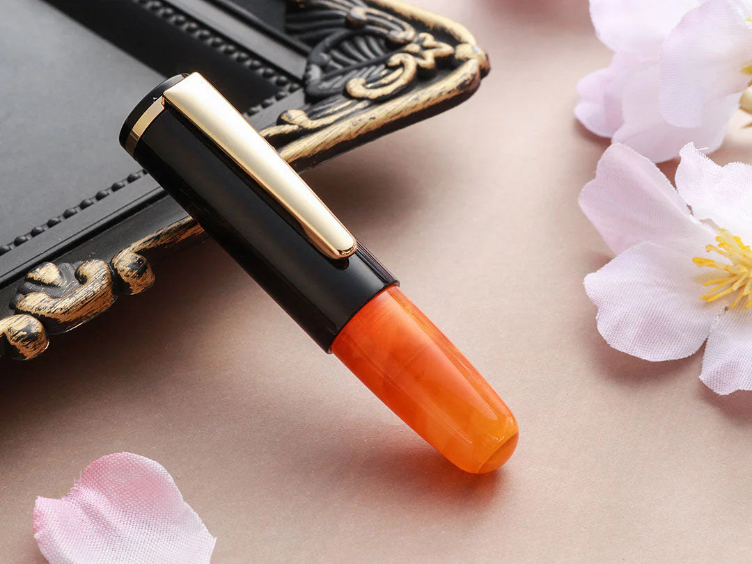 Wancher PoChaCo Fountain Pen