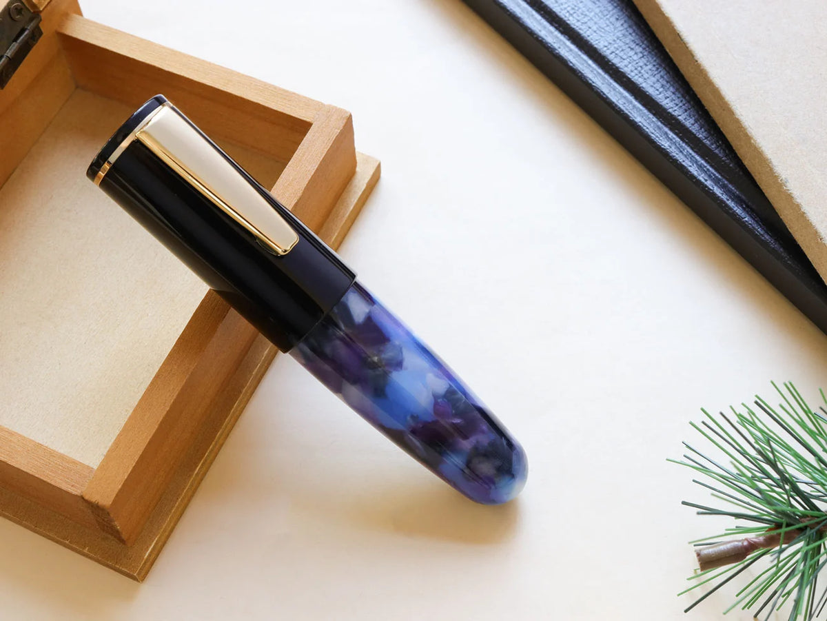 Wancher PoChaCo Fountain Pen