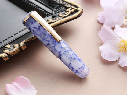 Wancher PuChiCo Fountain Pen
