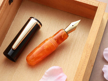 Wancher PuChiCo Fountain Pen
