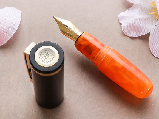 Wancher PuChiCo Fountain Pen