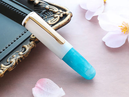 Wancher PuChiCo Fountain Pen